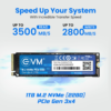 EVM NVME SSD
