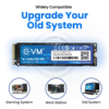 EVM NVME SSD