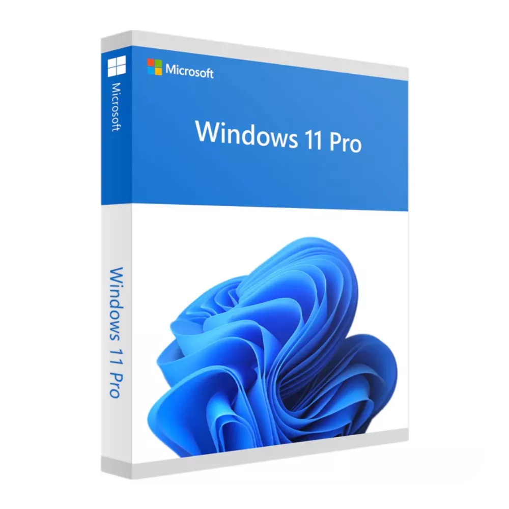 Windows 11 Pro